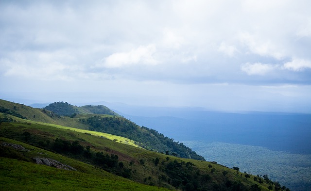 在轻度麻醉 在轻度麻醉
