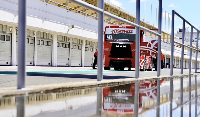 为队友创造 为队友创造