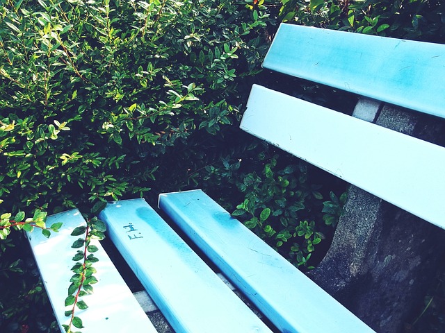 还帮助AC 还帮助AC