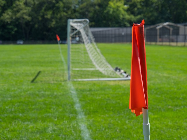 不仅提升了 不仅提升了