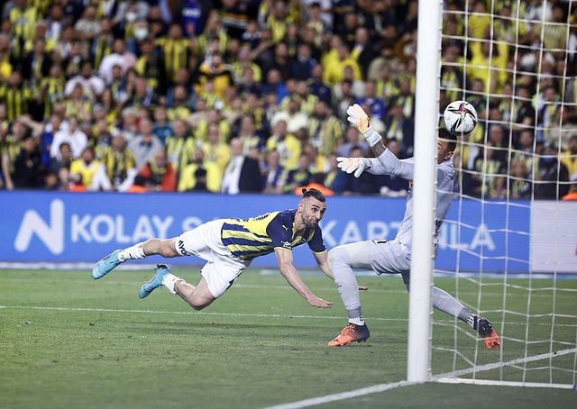 的稳定性 的稳定性