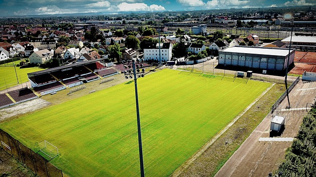 经验的球员 经验的球员