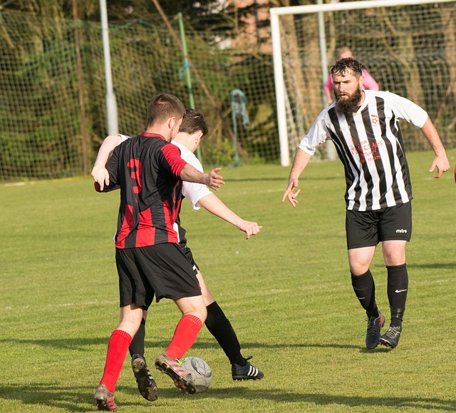 综合来看 综合来看