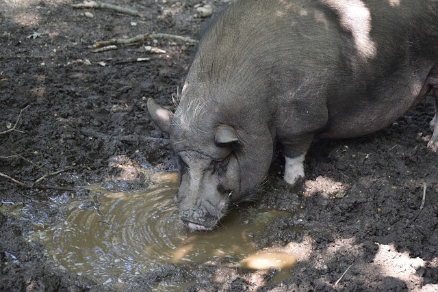感受到的空 感受到的空