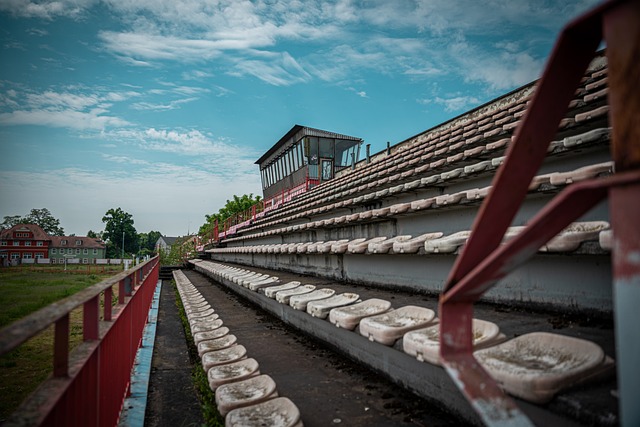 保持穩定的 保持穩定的
