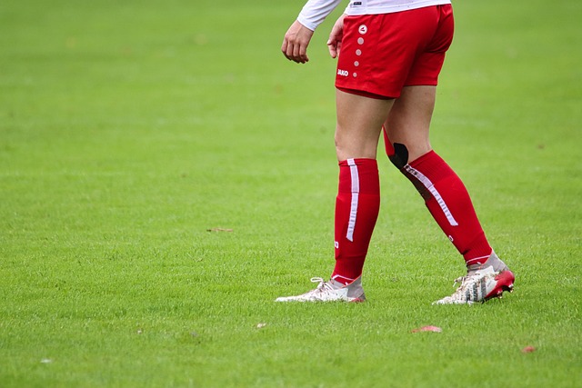 未来的欧洲 未来的欧洲