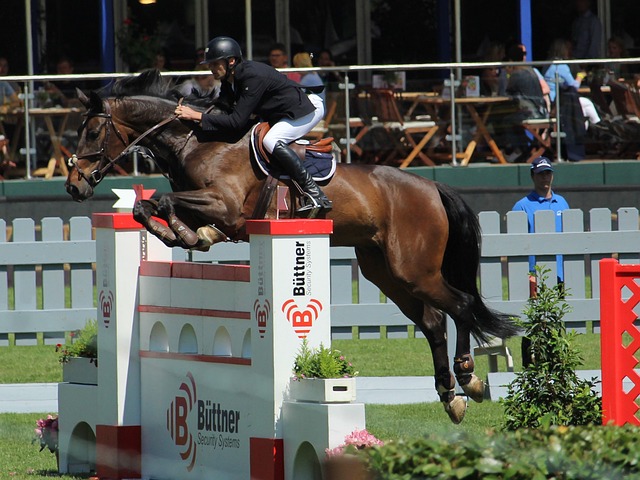 某种权力交 某种权力交