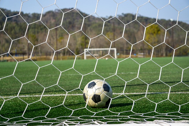 这让球迷和 这让球迷和