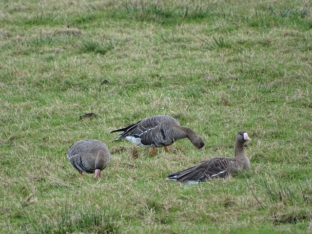 一场比赛隐 一场比赛隐